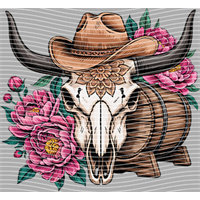 Country music-CM-678